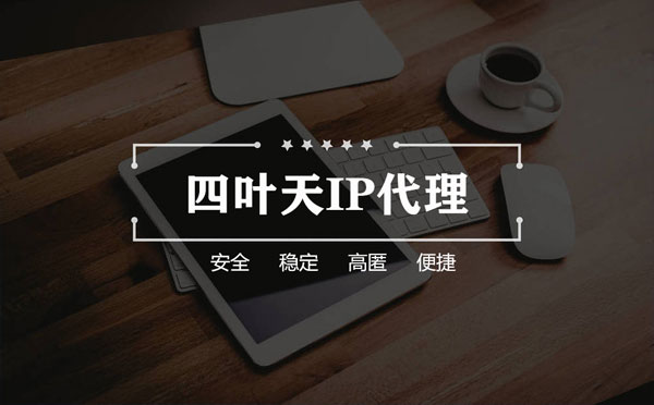 【武汉代理IP】如何快速搭建代理IP？怎么检查代理的效果？